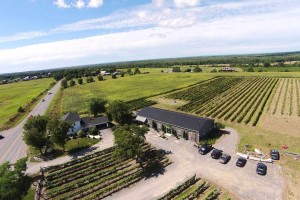 Aerial business photograph of a winery in Prince Edward County