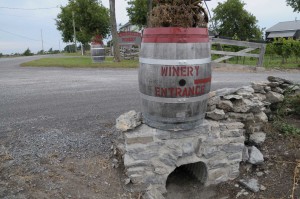A winery's store front | Photographer Trenton, Ontario