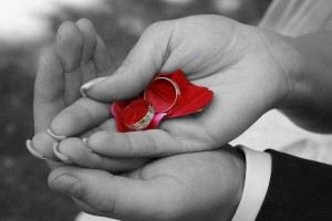 Wedding Photography | Quinte West, Belleville Ontario